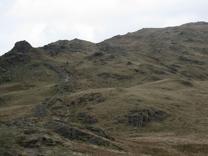 IMG_3197.JPG - Walking up Heron Pike