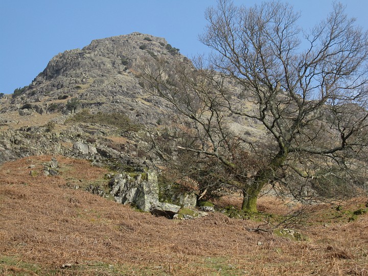 IMG_3239.JPG - At the bottom of Long Crag.  A 10 minute walk from the car park